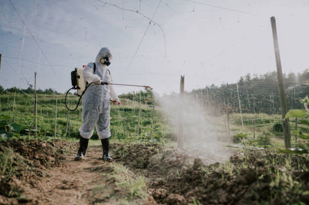 Best Mosquito Control Services  in Arnold, MD