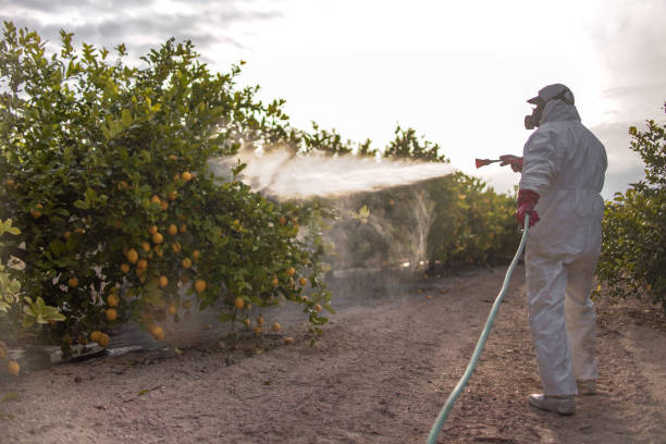 Best Residential Pest Control  in Arnold, MD
