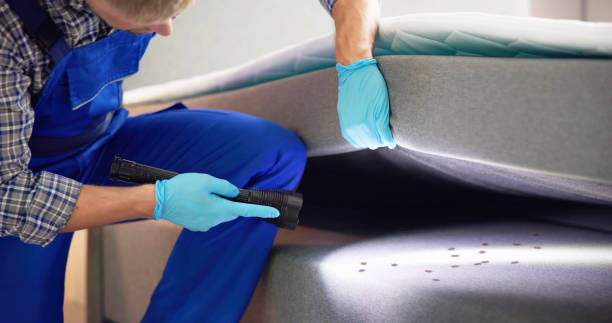 Wasp Removal Services in Arnold, MD
