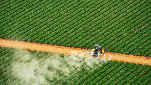 Best Pest Removal Services  in Arnold, MD